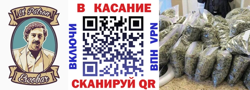 Купить наркотики цена Кировск Псилоцибиновые грибы  Альфа ПВП  Меф мяу мяу  ГАШ  Бошки Шишки  КОКАИН 