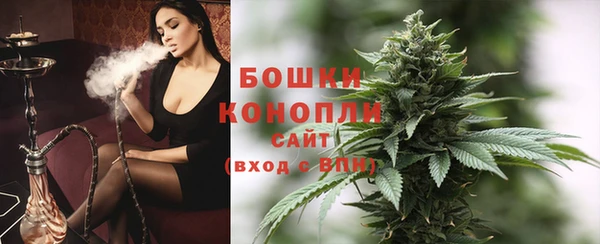прущие крисы Каменногорск