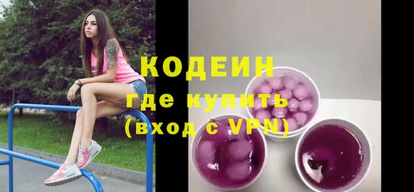 apvp Иннополис