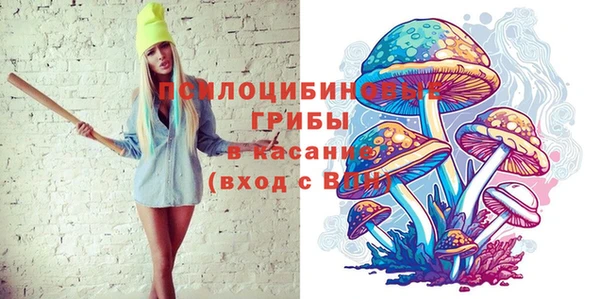 мдма Каменка