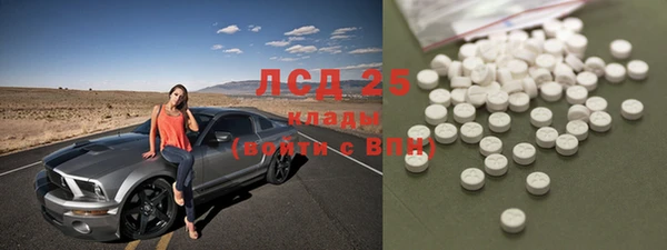 apvp Иннополис