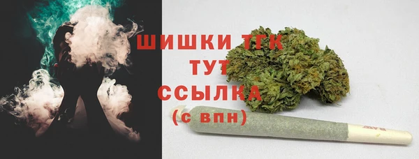 прущая мука Инта