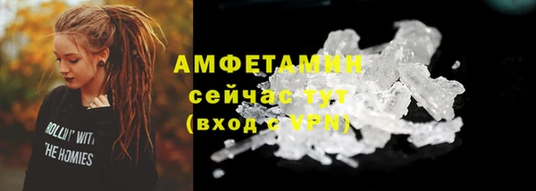 прущие крисы Каменногорск