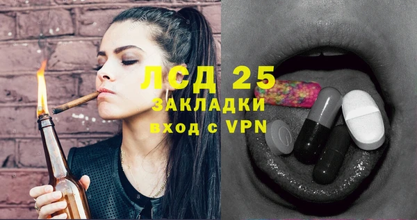apvp Иннополис