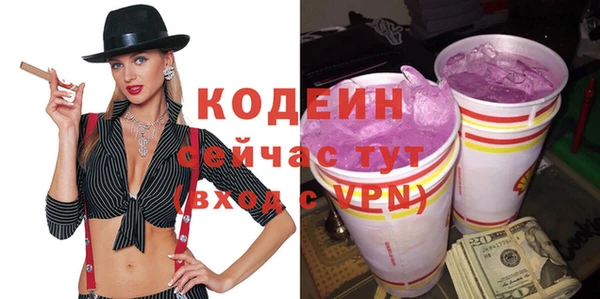 индика Тихвин