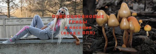 прущие крисы Каменск-Шахтинский