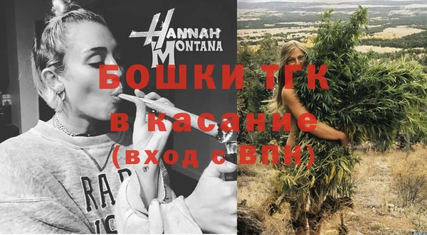 apvp Иннополис