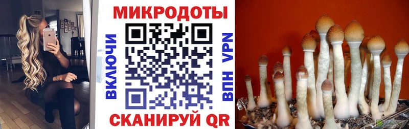 Галлюциногенные грибы Magic Shrooms даркнет сайт сайты даркнета как зайти Кировск mega зеркало