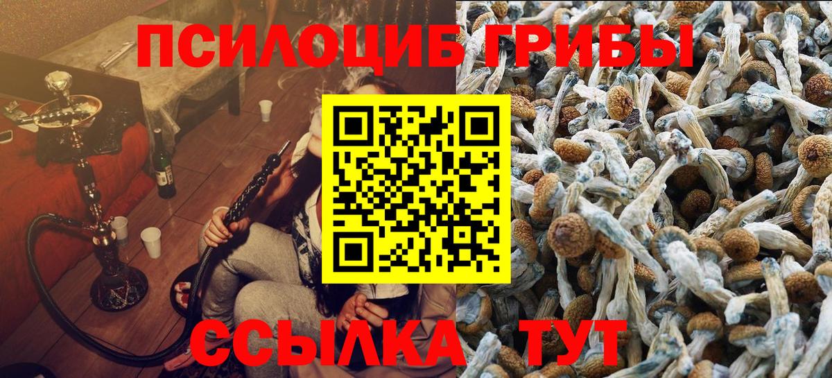 Галлюциногенные грибы ЛСД Кировск